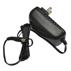 ADAPTADOR GE PARA CÁMARA 12VDC/2A/3FT (PS-D1202D)