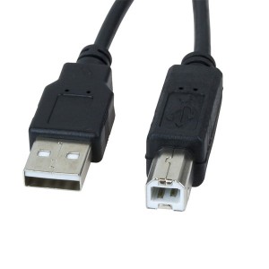 CABLE XTECH 10FT USB 2.0 A-MALE TO B-MALE (XTC-303)