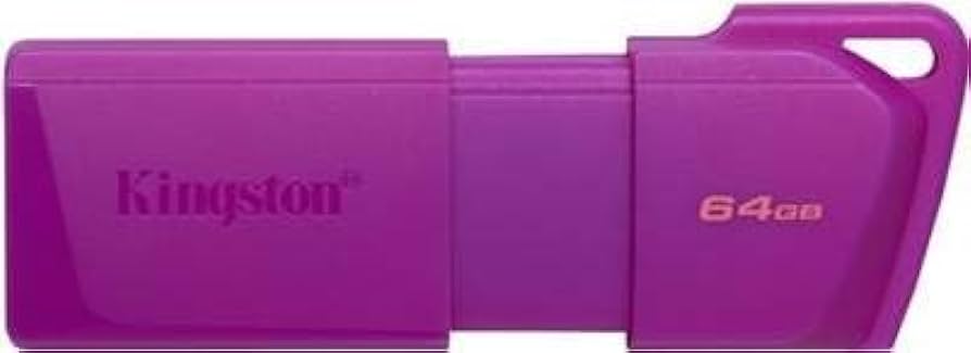 PEN DRIVE KINGSTON 64GB DATA TRAVELER USB 3.2 NEON (KC-U2L64-7LP)